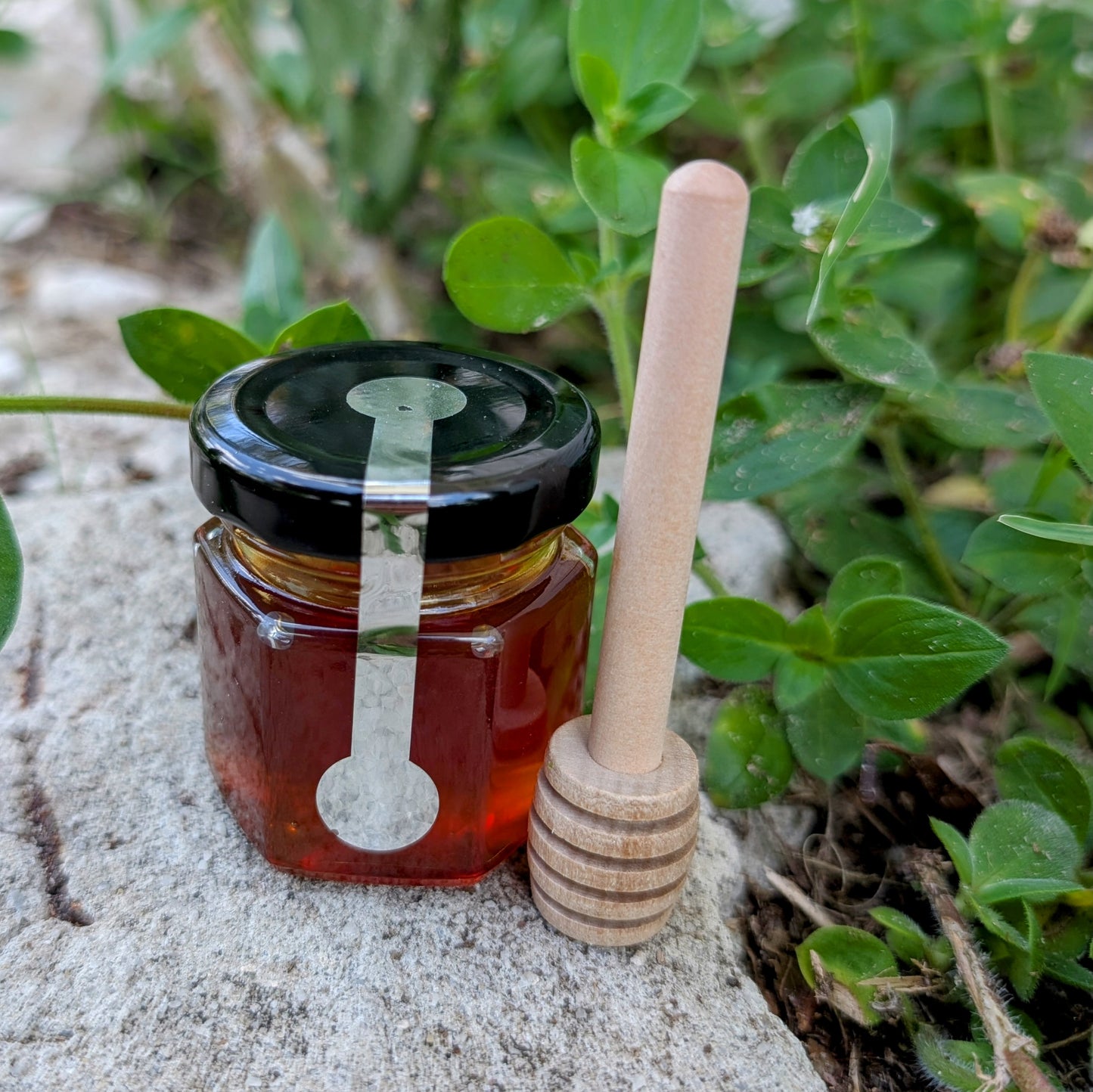1oz Massachusetts Honey